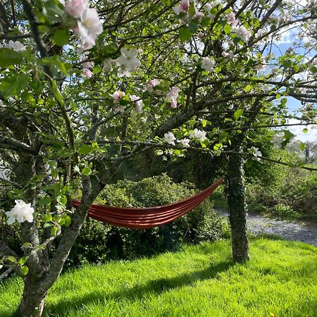 Gite A La Campagne Le Mesnil-Villeman Bagian luar foto