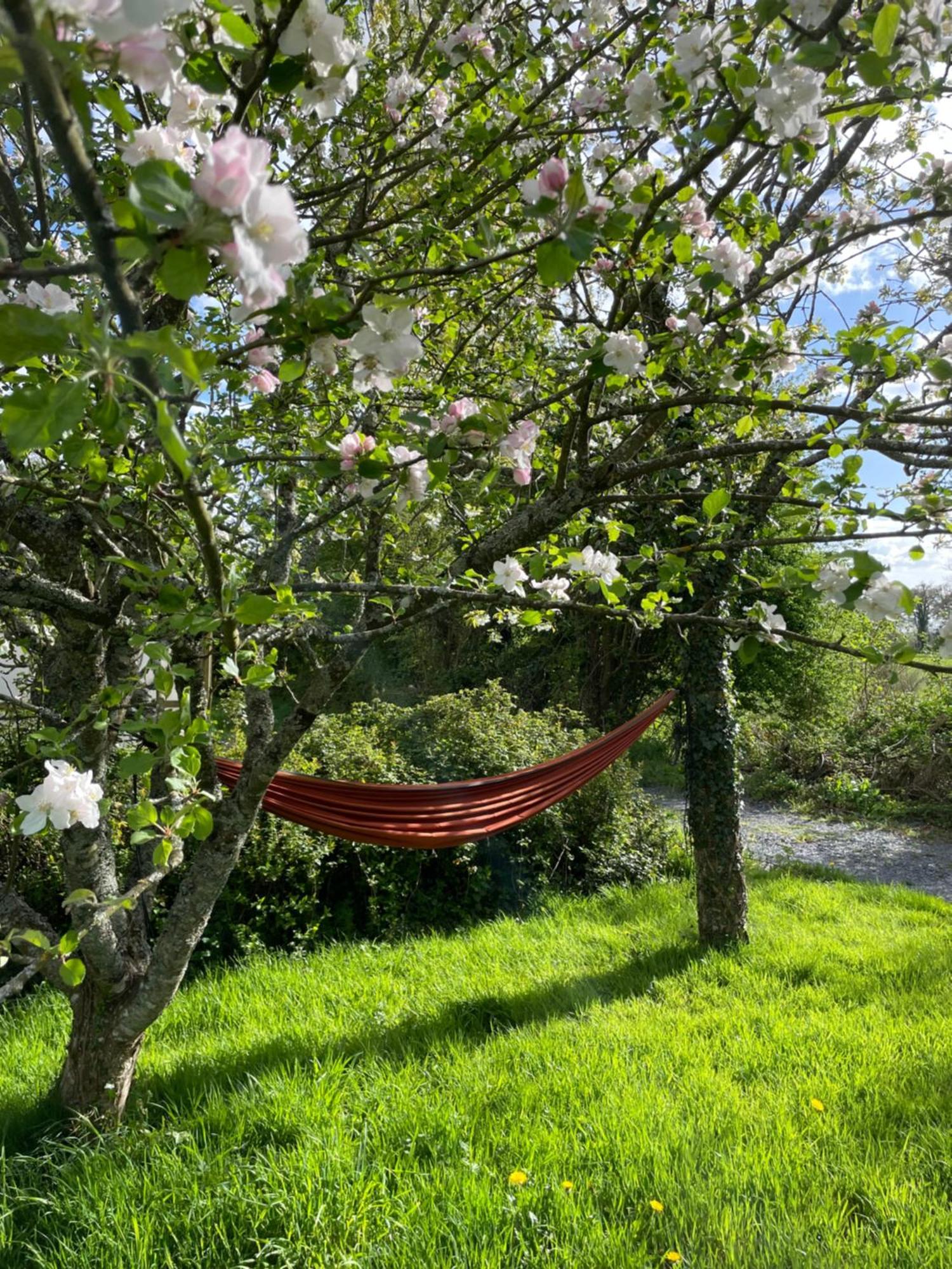 Gite A La Campagne Le Mesnil-Villeman Bagian luar foto